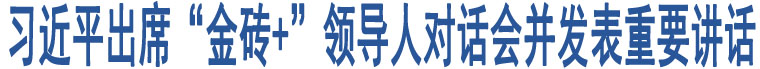 習(xí)近平出席“金磚+”領(lǐng)導(dǎo)人對話會并發(fā)表重要講話