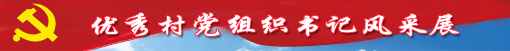 優(yōu)秀村黨組織書記風采展